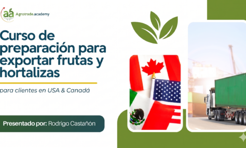 Miniatura del curso