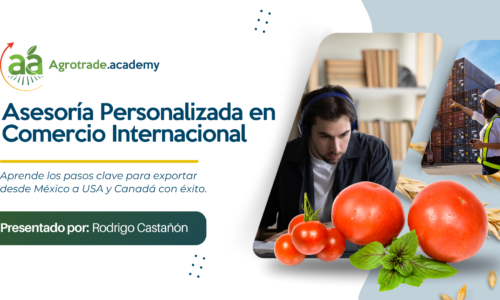 Asesoría personalizada