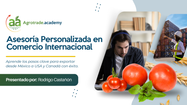 Asesoría y consultoría privada