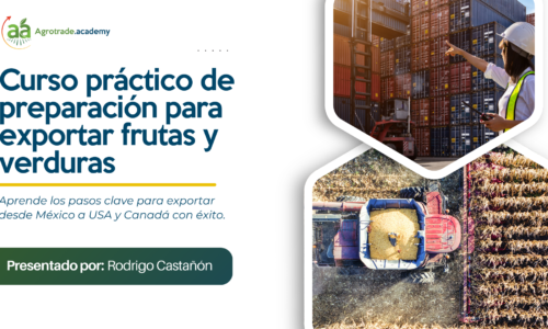 Curso: cómo exportar frutas y hortalizas a USA & Canadá