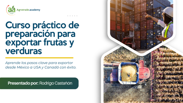 Cómo importar frutas y verduras de México para clientes en USA y Canadá; Curso práctico de preparación (online en vivo).