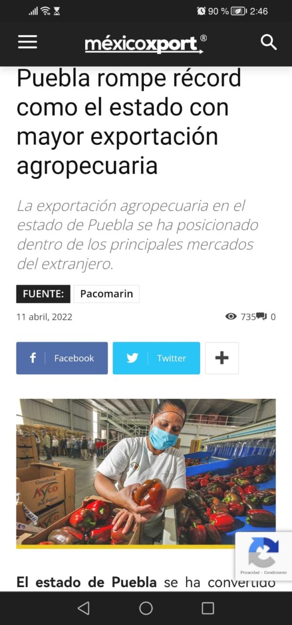 WhatsApp Image 2023-07-12 at 2.54.12 PM (1)