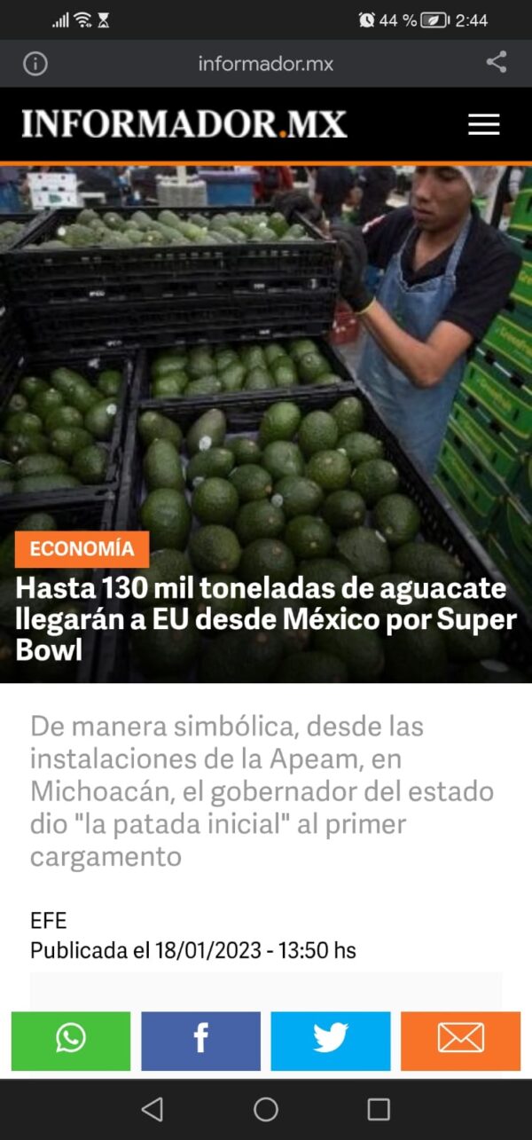 WhatsApp Image 2023-08-14 at 2.45.45 PM